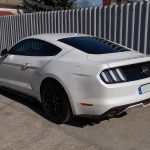 Autófólia - fehér Mustang